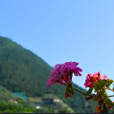 U Sportegu Da E Monti A Giaia Tatil Evi